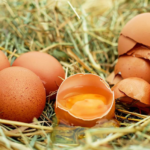 Jak poznat zkažené vejce ještě před tím, než ho rozklepneme