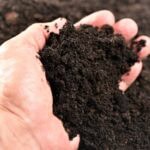 Co patří a nepatří do kompostu: Kompletní přehled pro správné kompostování